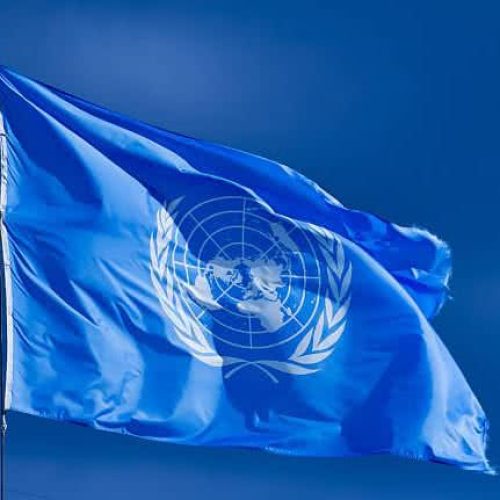 Conselho da ONU vota para manter pesquisa sobre abusos contra pessoas LGBT apesar dos EUA